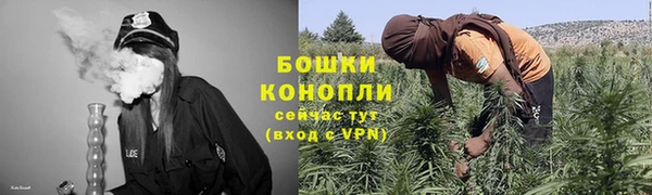твердый Дмитриев