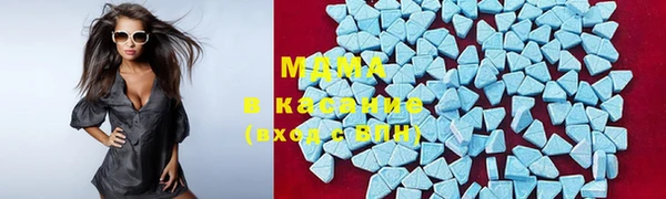 прущие грибы Дмитров
