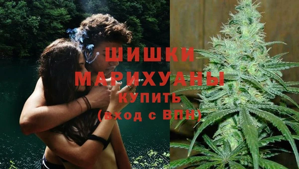 прущие грибы Дмитров