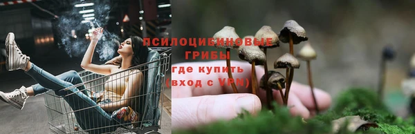 твердый Дмитриев