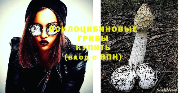 прущие грибы Дмитров