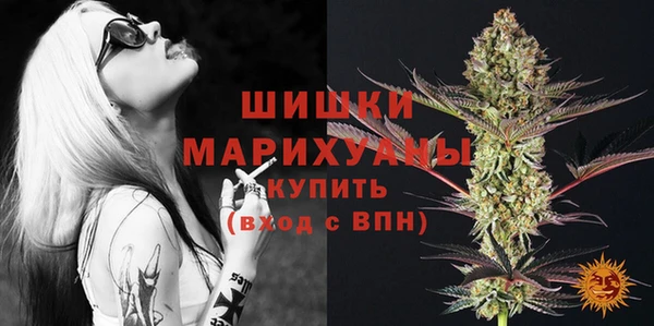 прущие грибы Дмитров