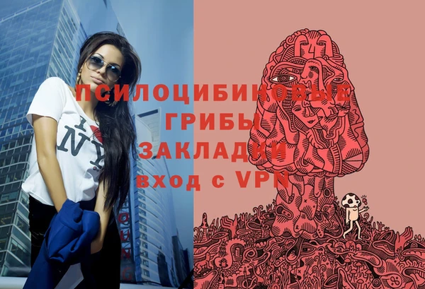 твердый Дмитриев