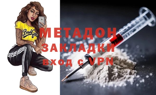 прущие грибы Дмитров