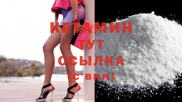 прущие грибы Дмитров