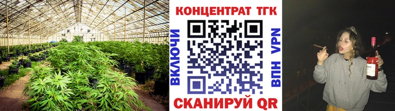 Купить где  Фурманов  ТГК Wax 