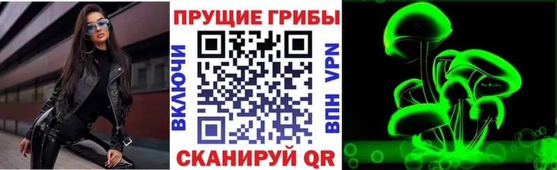 Купить  Фурманов  Псилоцибиновые грибы Magic Shrooms 